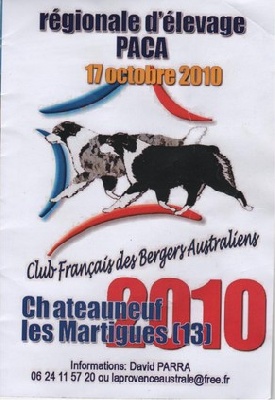du Sarmizegetusa Regia - Exposition Régionale d' élevage Berger Australiens PACA le 17/10/2010