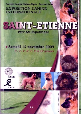 du Sarmizegetusa Regia - EXPOSITION INTERNATIONALE SAINT ETIENNE le 14/11/2009