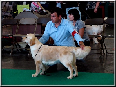 du Sarmizegetusa Regia - CHAMPIONNAT DE FRANCE, le 11 Juillet 2010 ! ! !